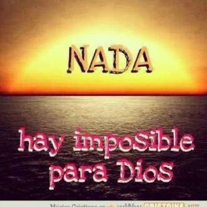 Meet your Posher, Yenny